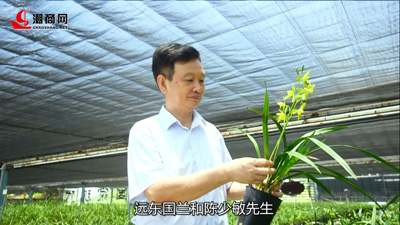 一場蘭花的奇妙之旅，帶您領略國蘭風采！