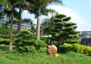 石炮臺(tái)公園