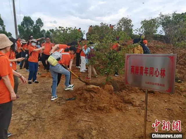 第十一屆臺(tái)灣青年嶺南行潮汕文化尋根營(yíng)在汕尾開(kāi)營(yíng)