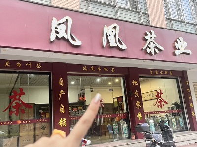 鳳凰茶業